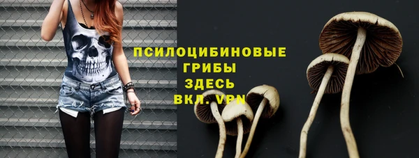 мет Горнозаводск