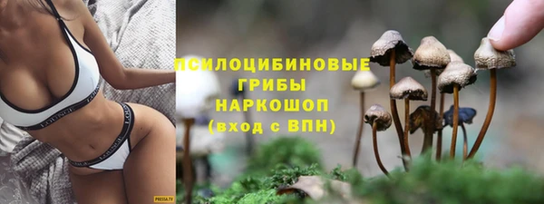 ешки Армянск